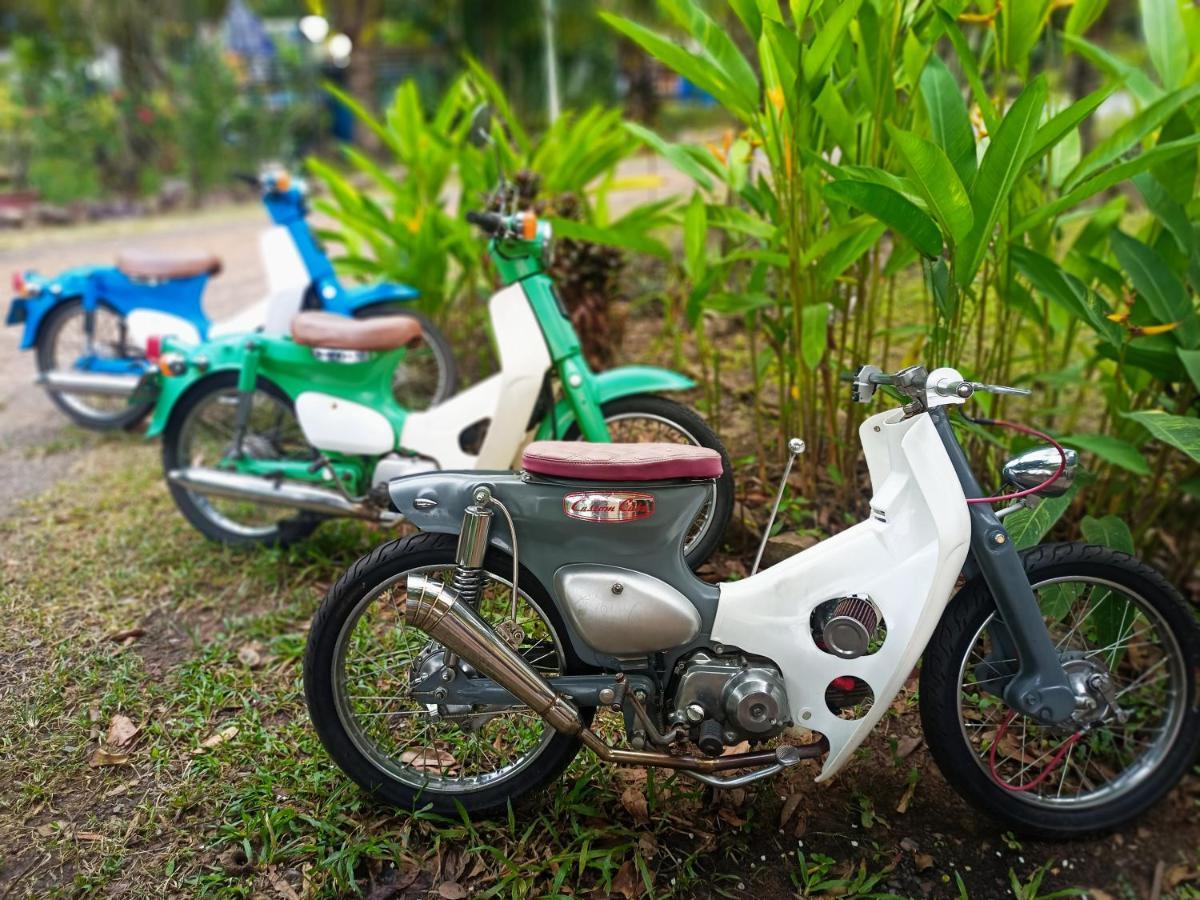 Karma Traders Kampot 호스텔 외부 사진